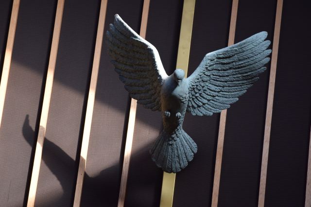 jim-stapleton-256166